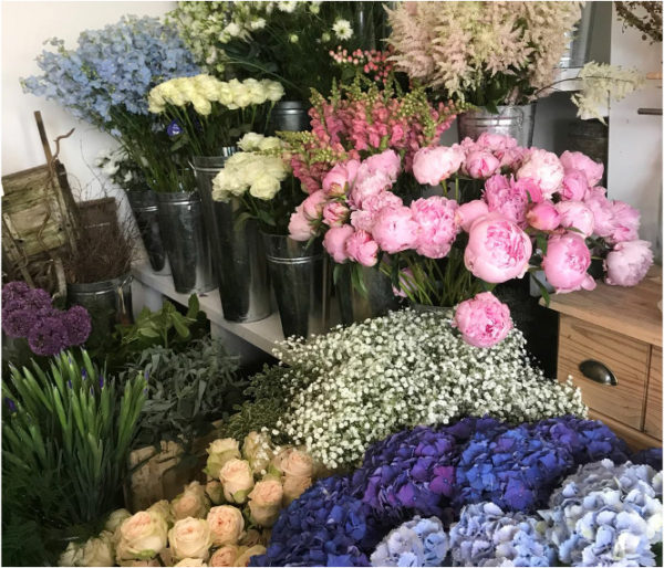 flowers in florist