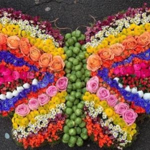 butterfly tribute