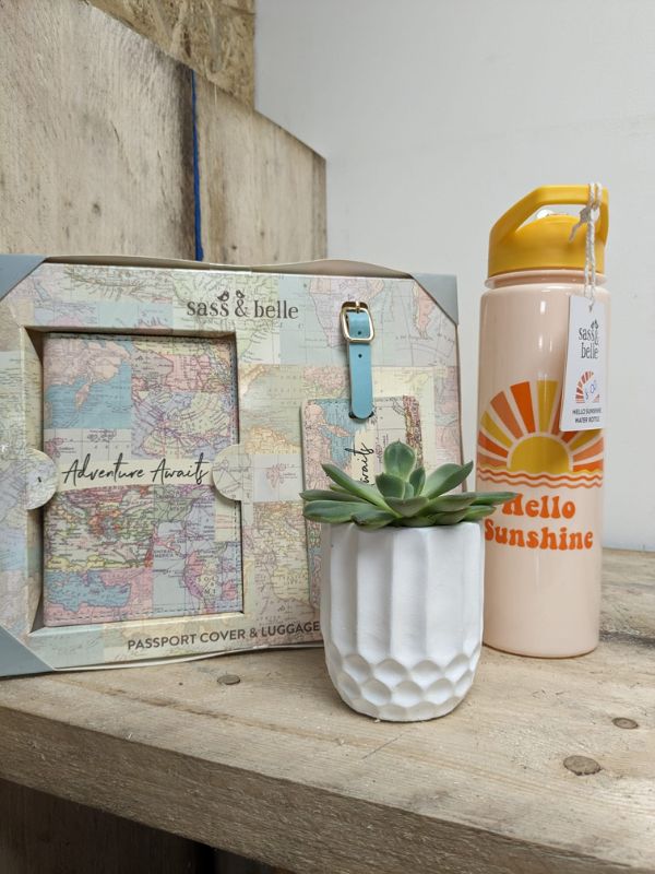 Tweens or teens Gift ideas - passport cover and luggage tag combo by Sass & Belle - cheery water bottle - succulent plant on wooden shelf