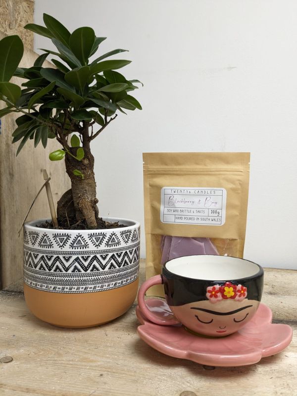 Secret Santa gift ideas - Tea cup and saucer set - Twenty6 wax bark - Plant and pot combo