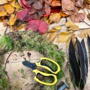 The Dancing Daffodil Wreath Workshop - image of moss wreath, secateurs and leaves